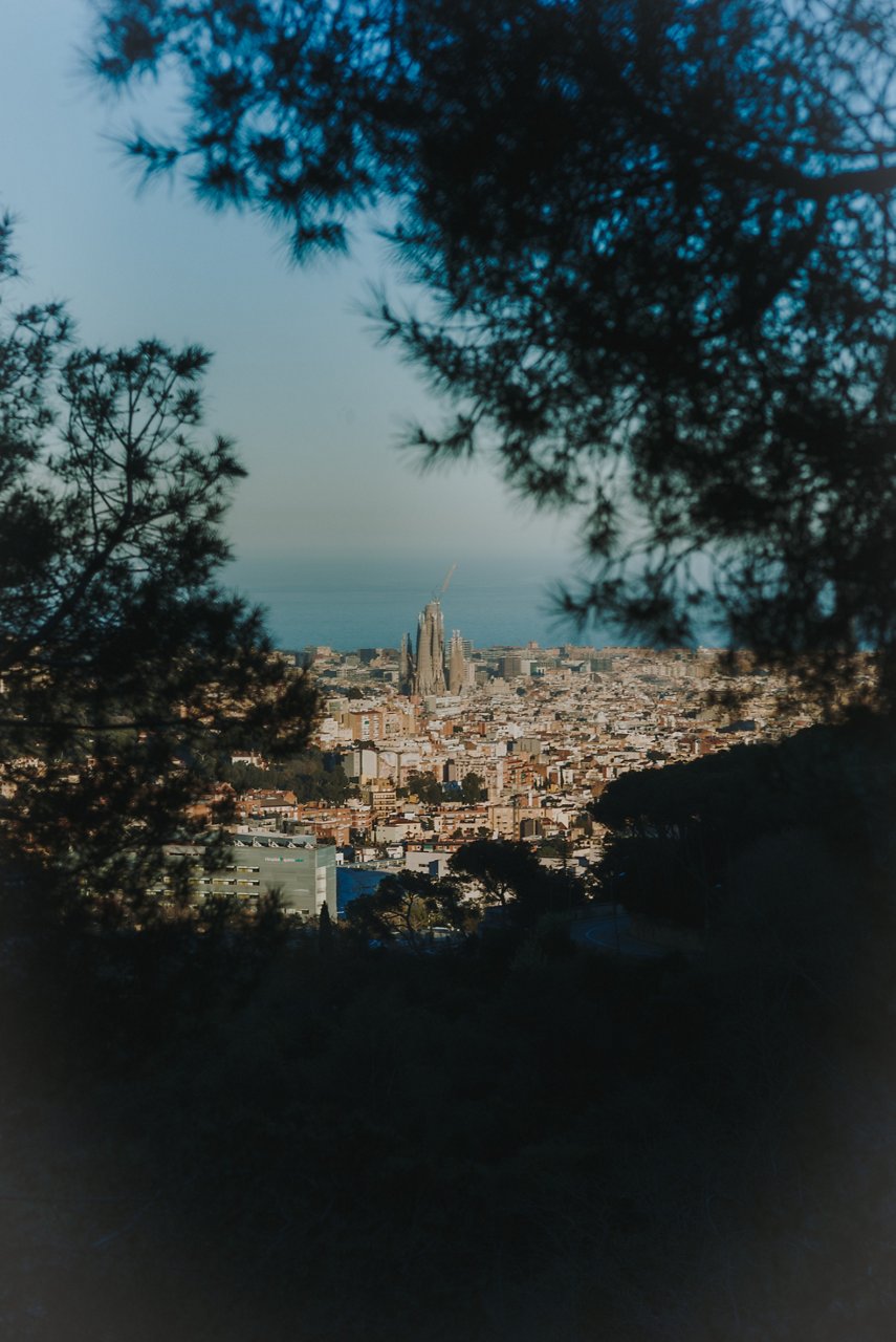 Vista panoràmica de Barcelona emmarcada per arbres, amb la Sagrada Família al centre i el mar al fons.