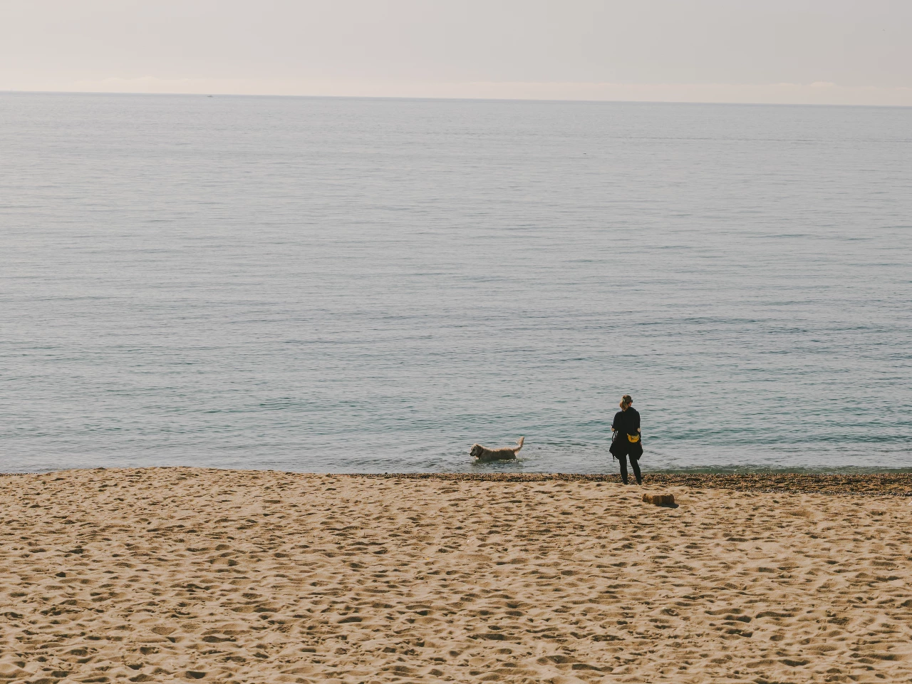 Platja de la Nova Mar Bella