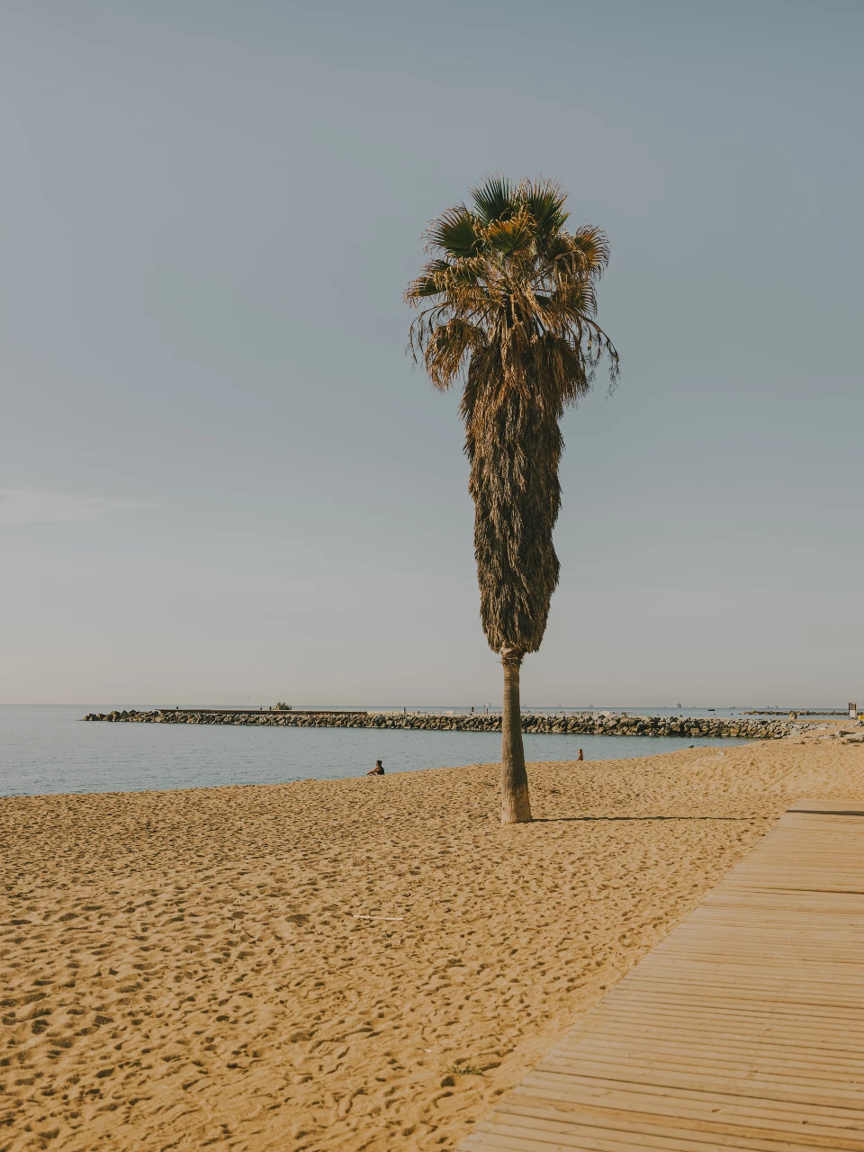 Playa de Llevant