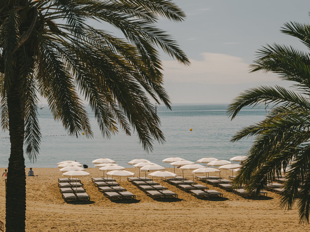Barcelona beach with sun loungers and white parasols on the sand, framed by palm trees with the sea in the background.