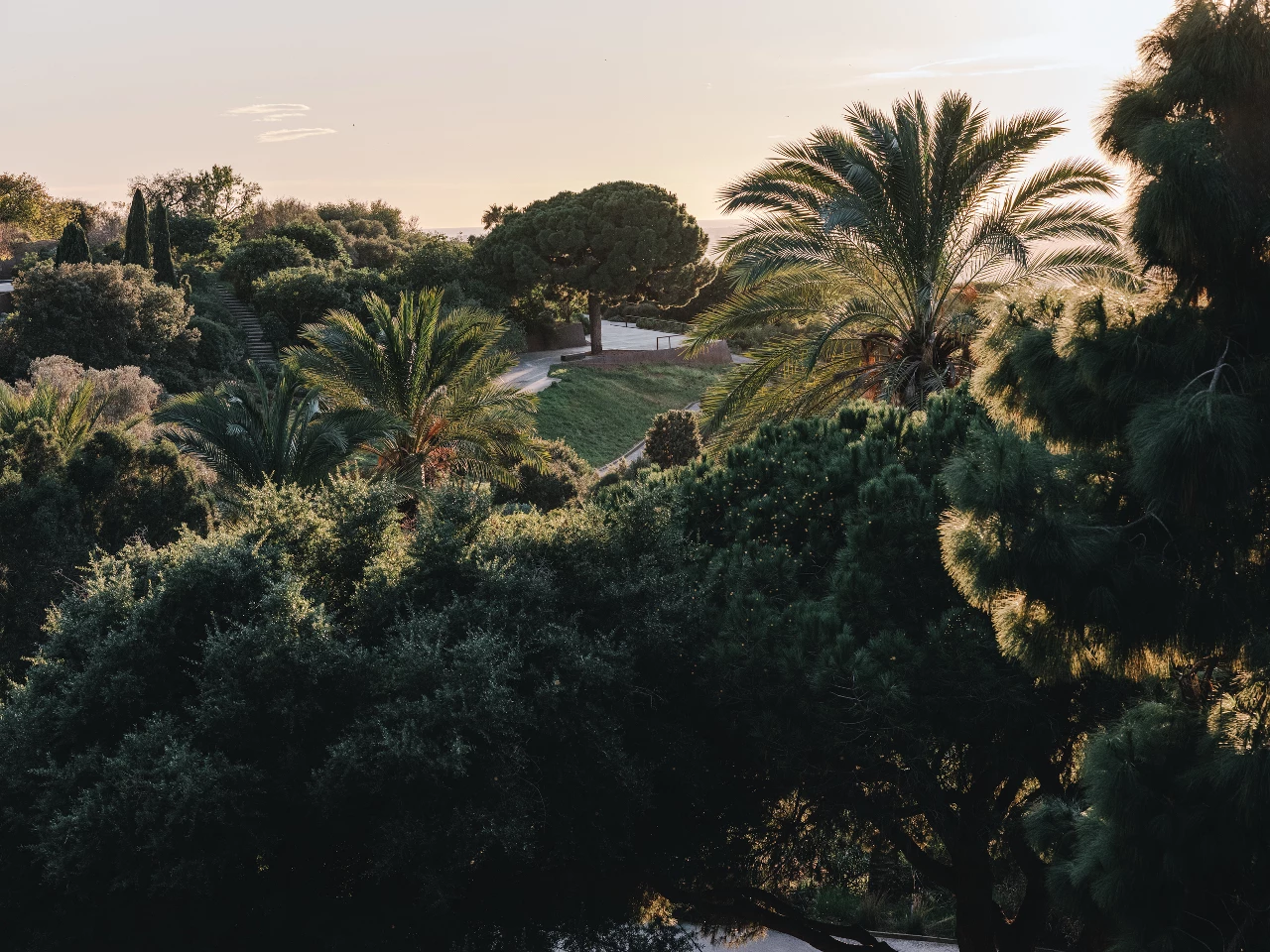 Jardí Botànic de Barcelona