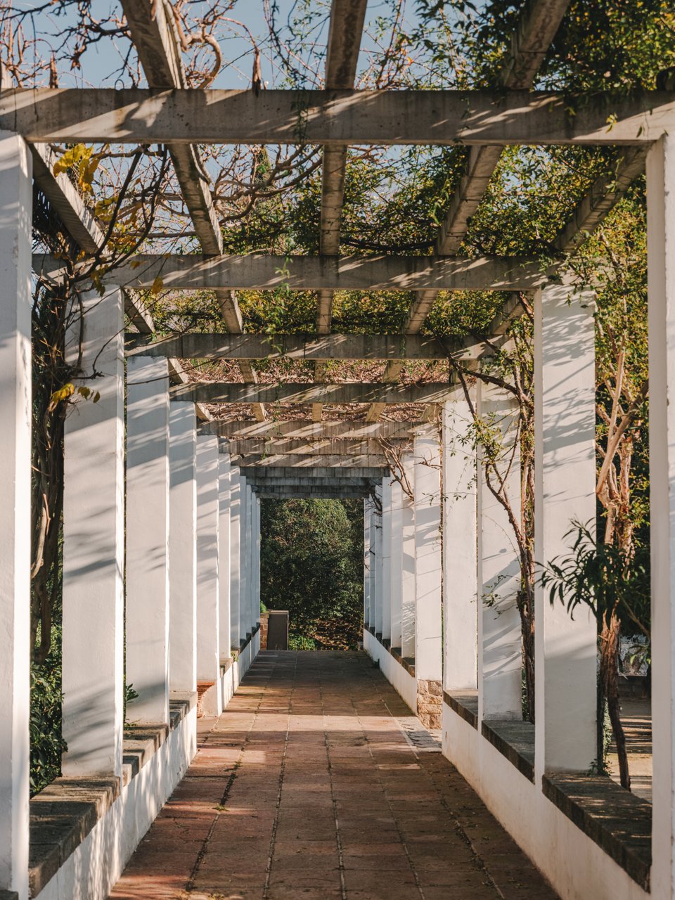 Passadís del jardí del Teatre Grec