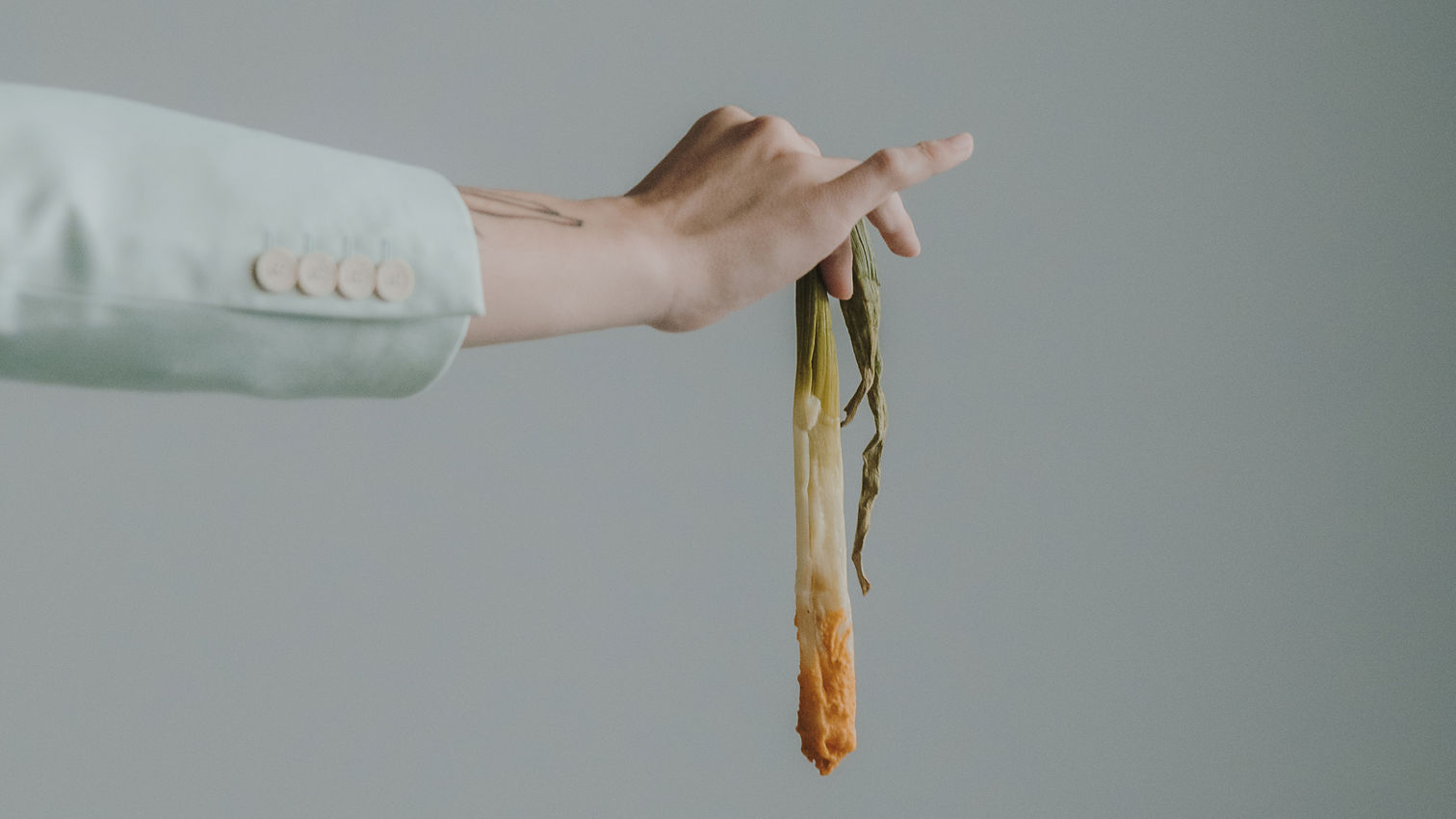 El brazo de alguien que lleva americana sosteniendo un calçot por la punta, frente a un fondo neutro.