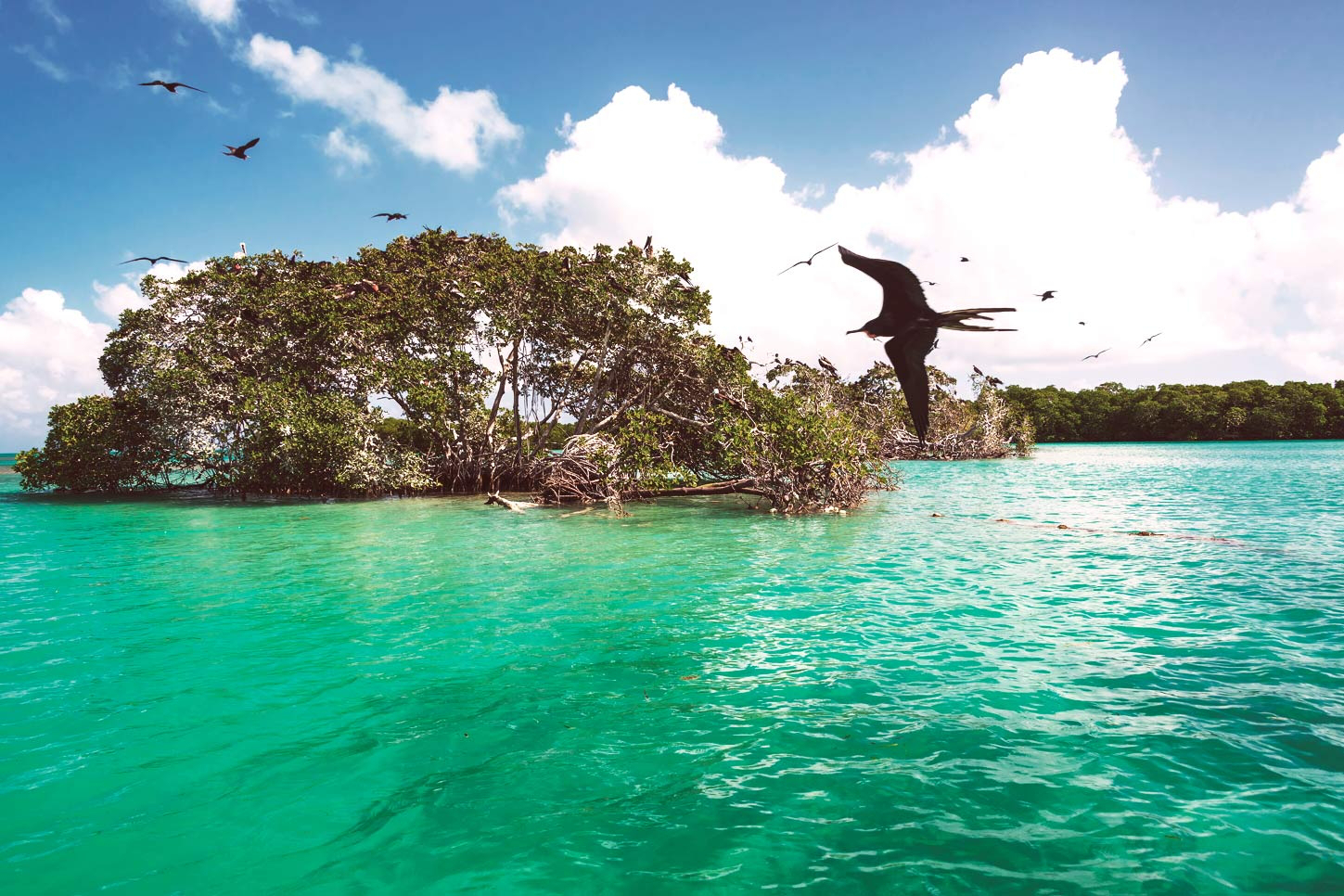Pueblos Mágicos Mexico - Souvenirs Isla Mujeres