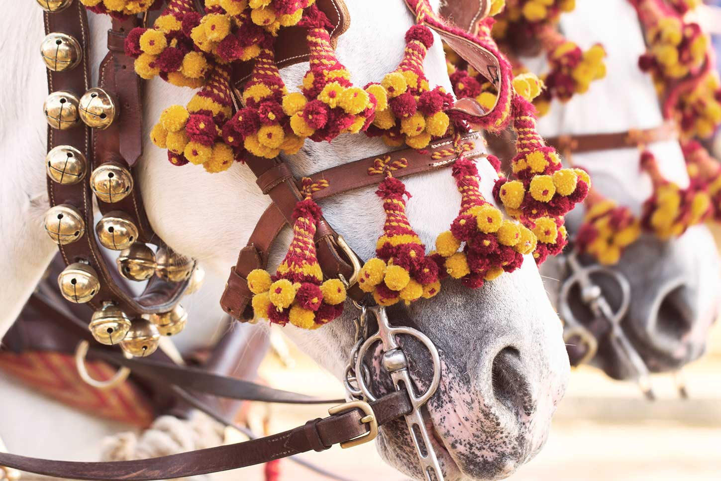 Feria Sevilla caballos