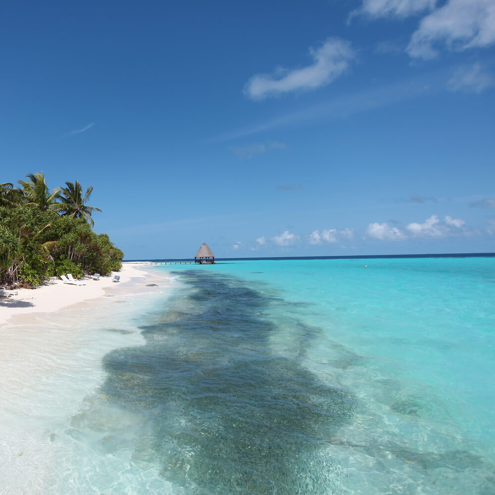 Enjoy your digital detox getaway by lounging on white sand beaches in the South Ari Atoll area. 