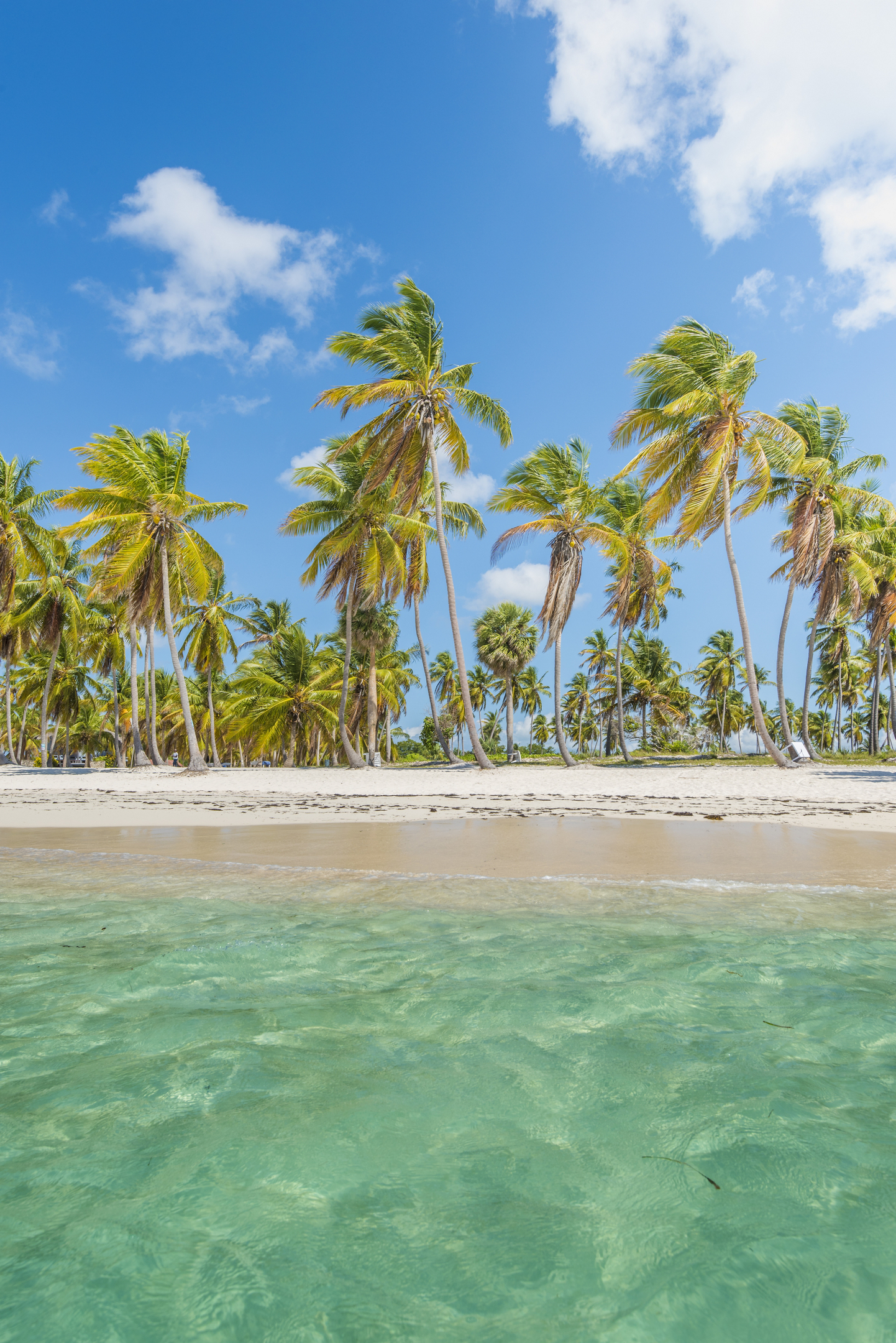 Black Friday travel deals make it possible to enjoy a golf vacation for less.