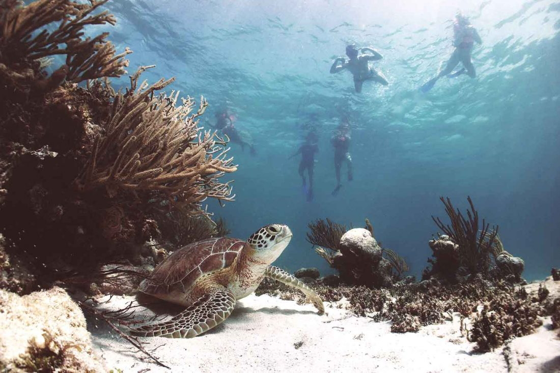 Riviera-Maya-turismo-e1601564899235