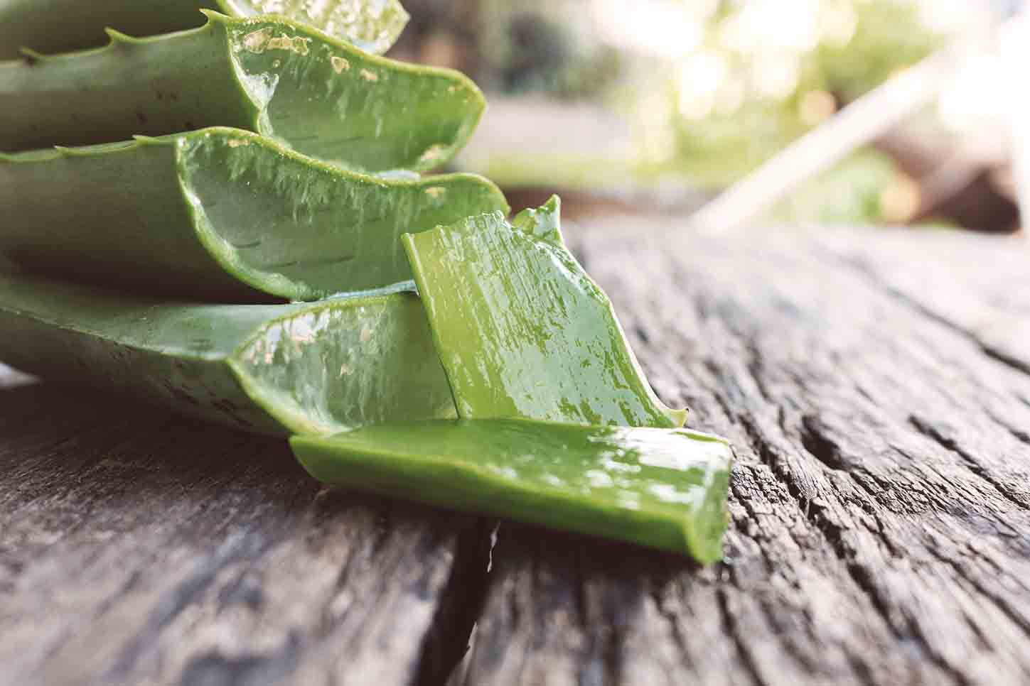 Produkte mit Aloe Vera gibt es in großer Fülle.