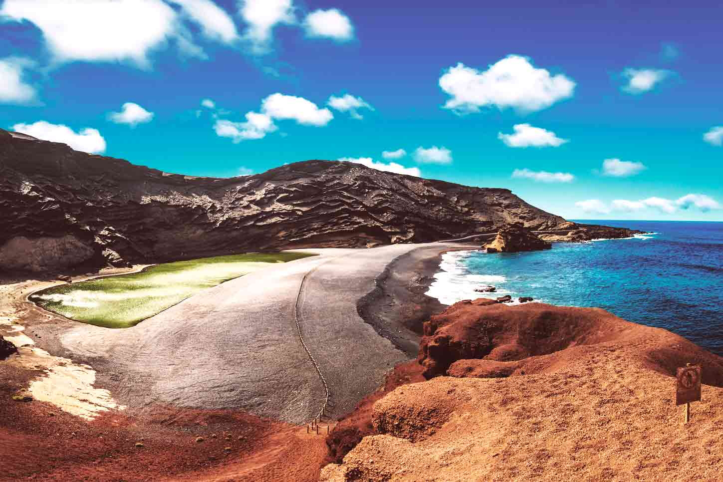 Bottles of aloe vera gel are the perfect lanzarote souvenirs for your trip