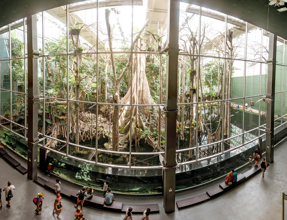 Barcelona mit Kindern entdecken: Saal im CosmoCaixa Museum.