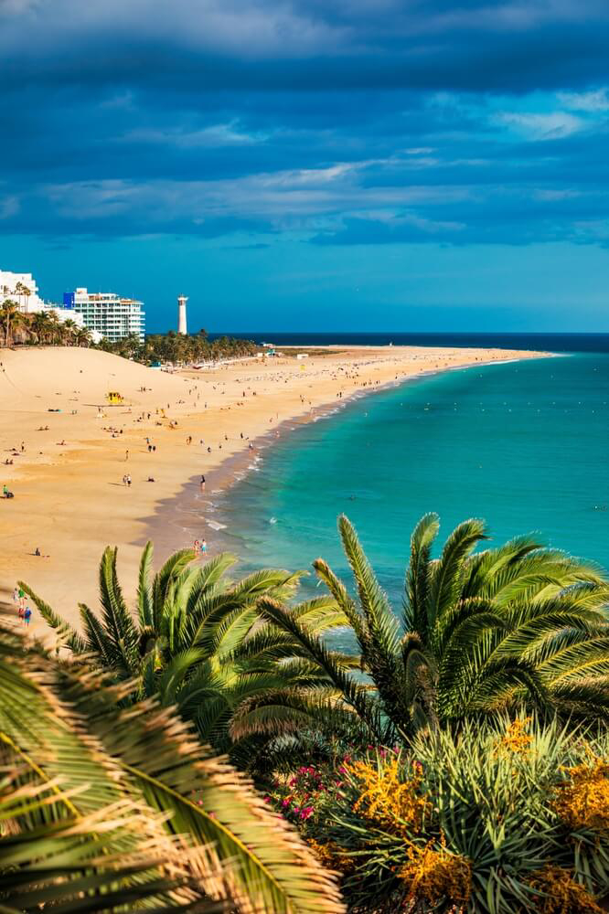 El Matorral Beach: Palm trees and golden sand beach with hotels in the distance