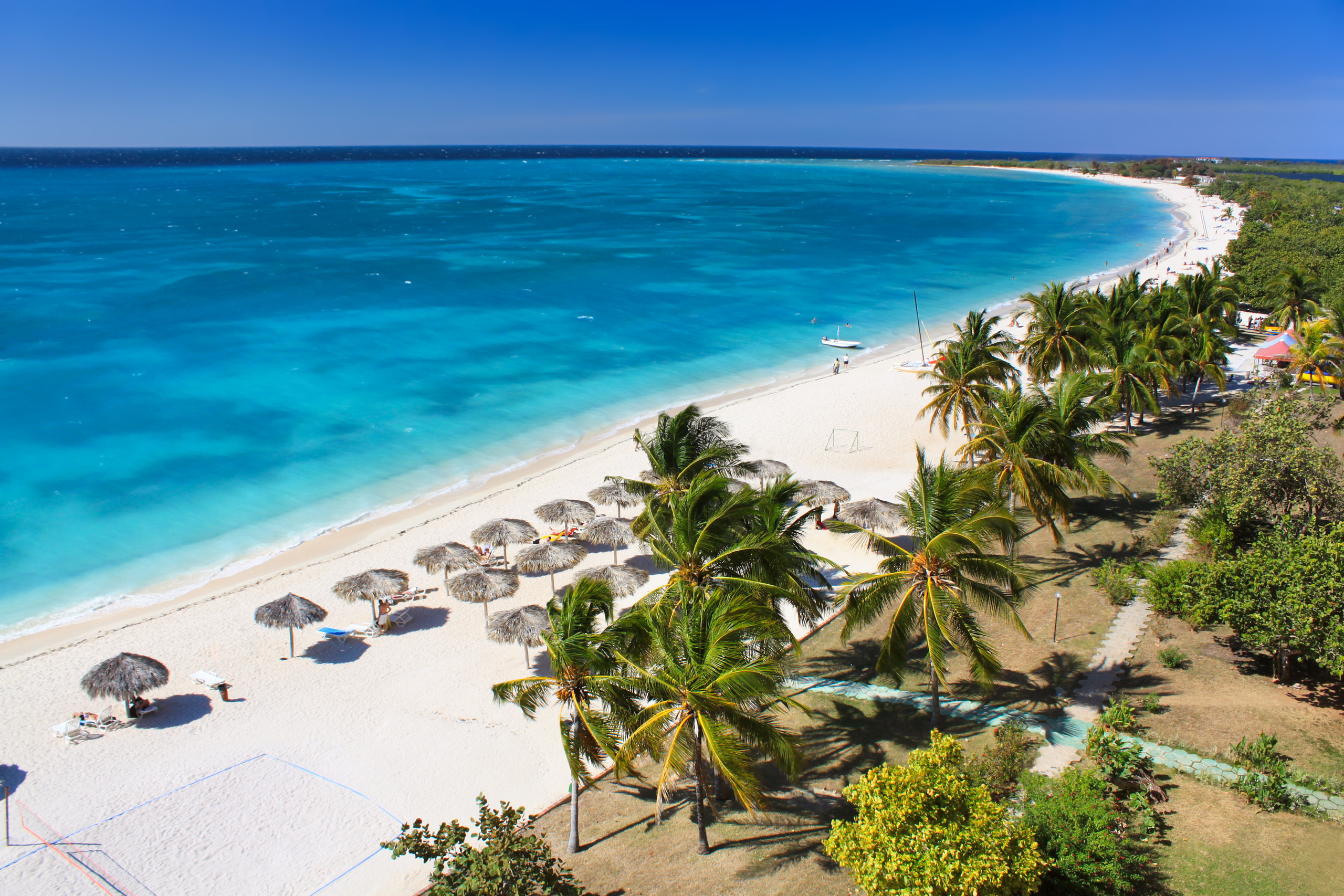 Uncover the wide range of marine life under the sea in Cuba