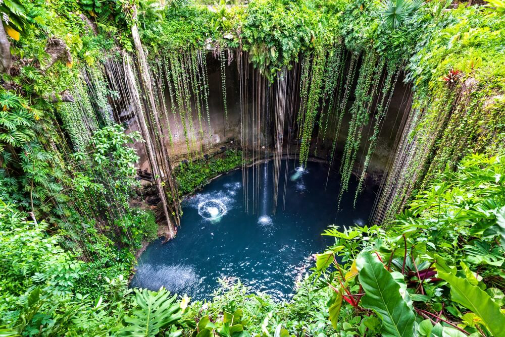 Cenoten in Mexiko: Die Sonne fällt in ein großes Cenote mit viel Vegetation an den Wänden.