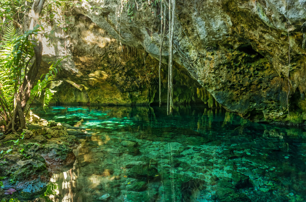 The Gran Cenote in Tulum is often on the list of the must visit cenotes Mexico has to offer