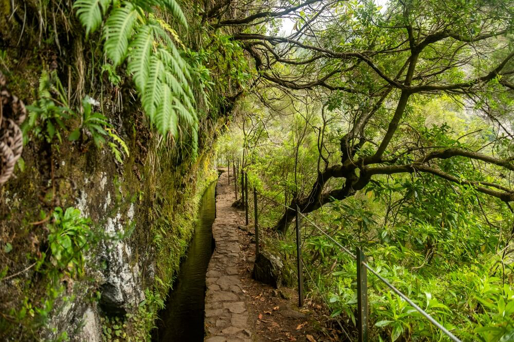 viajar a madeira