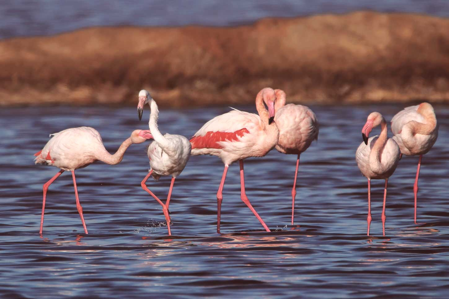 Urlaub in Huelva: Natur pur