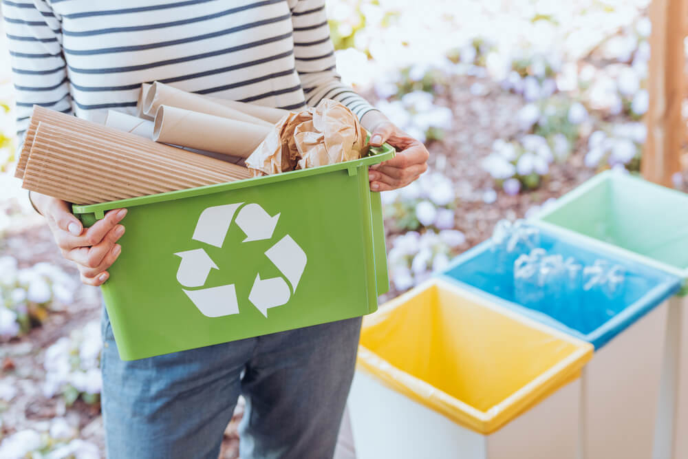 dia mundial del medioambiente