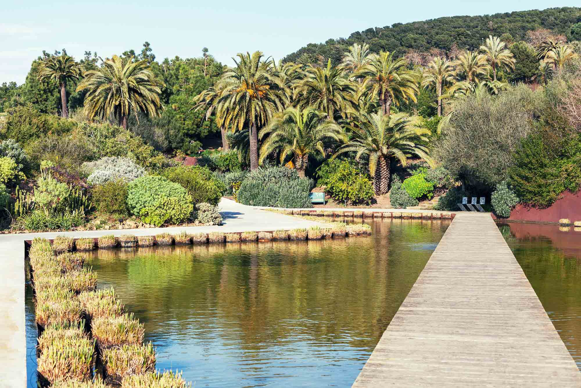 Jardín Botánico de Barcelona  La Nuit des Museus 2022