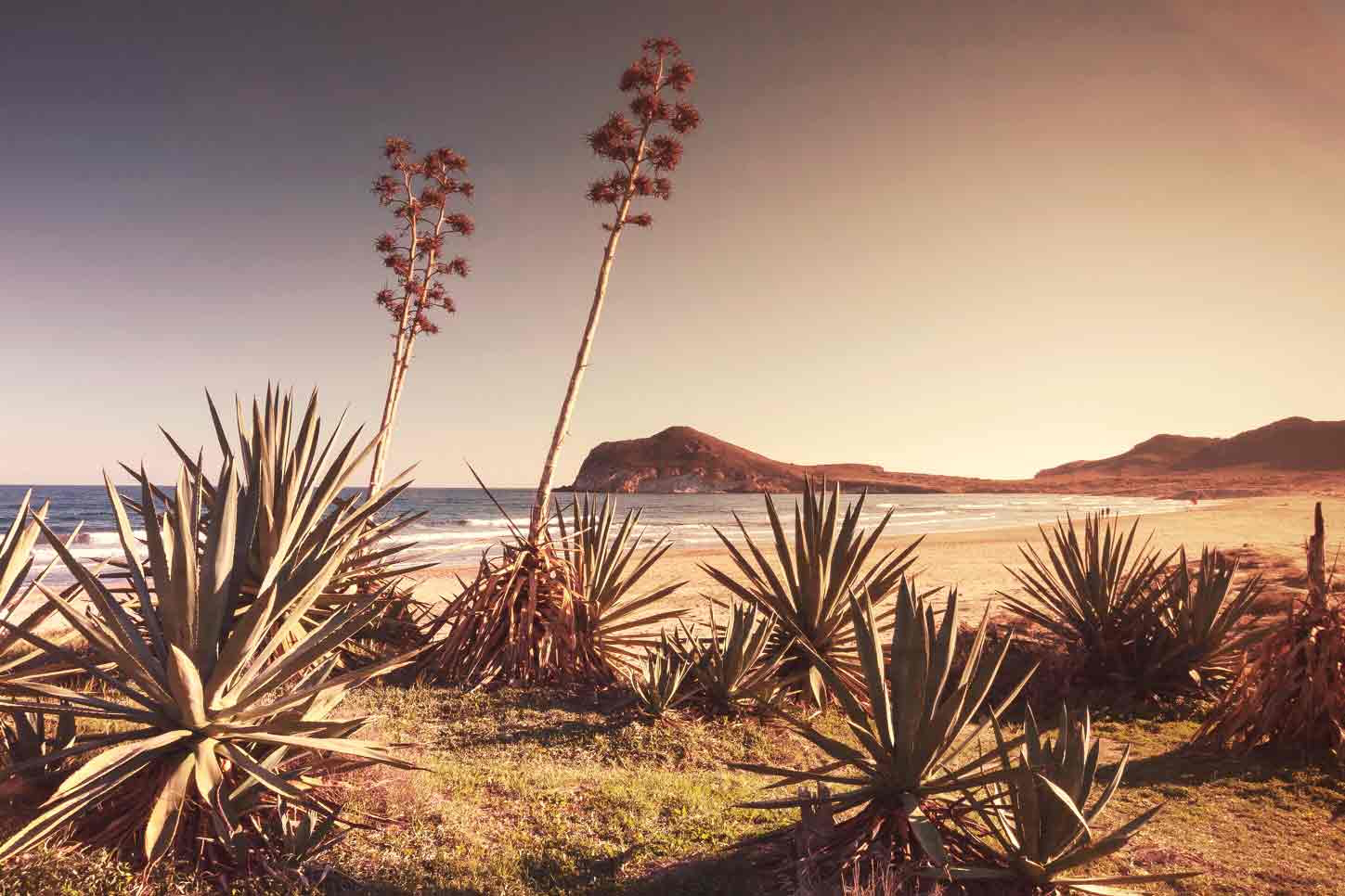 Playa de los Genoveses in Almería