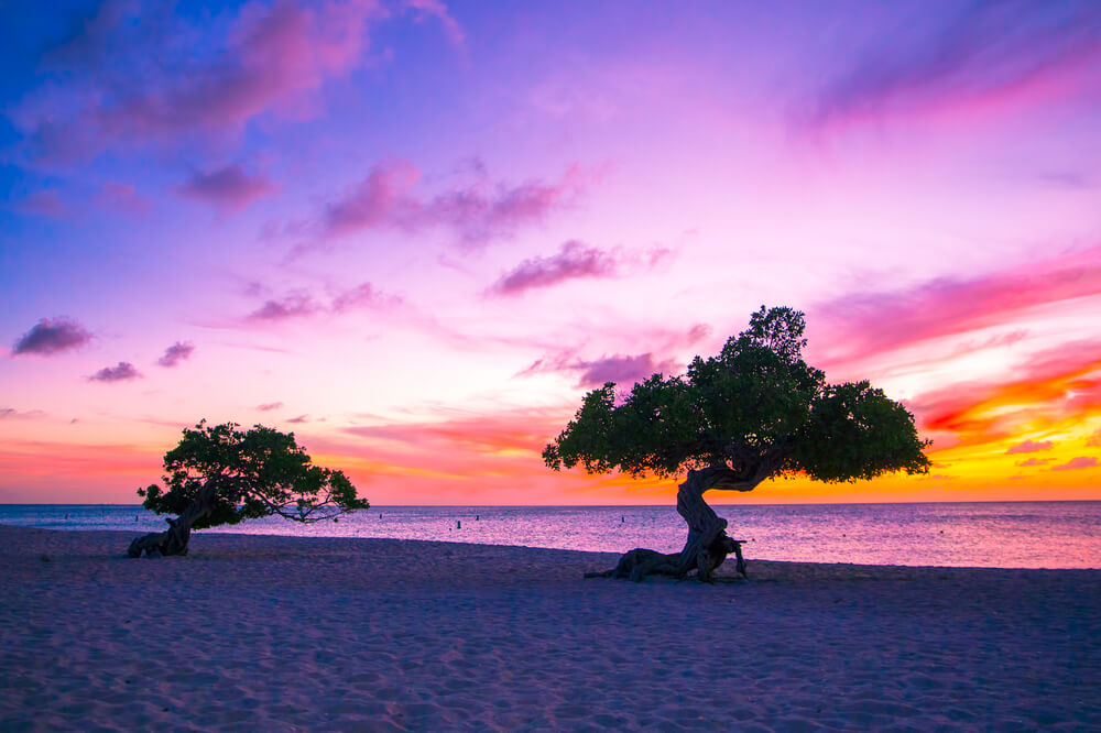 que hacer en Aruba