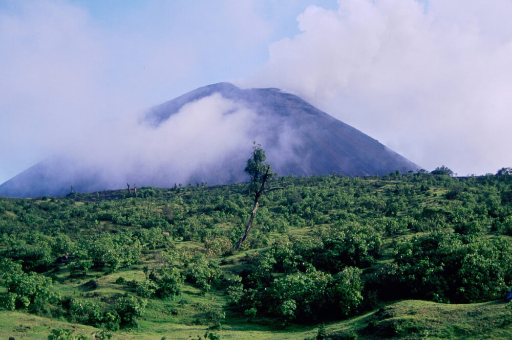 Take an ecotourism in Guatemala day trip to visit Pacaya Volcano National Park.