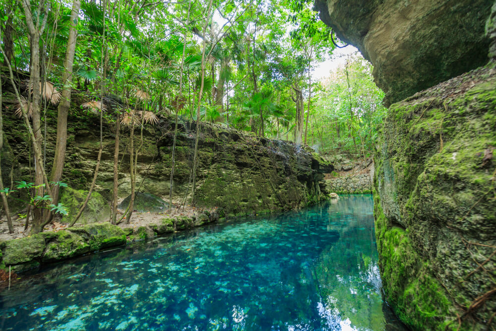 Swim in the blue river at Xcaret and enjoy this unique opportunity for ecotourism in Latin America.