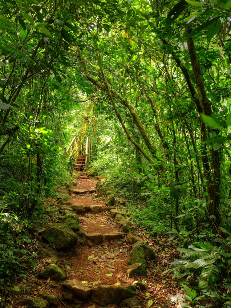 Explore all things ecotourism in Latin America at Nicaragua’s Volcan Mombacho National Park.