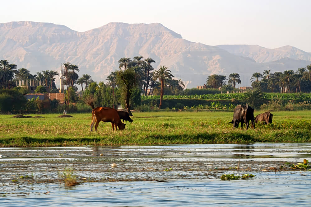 viajar a egipto