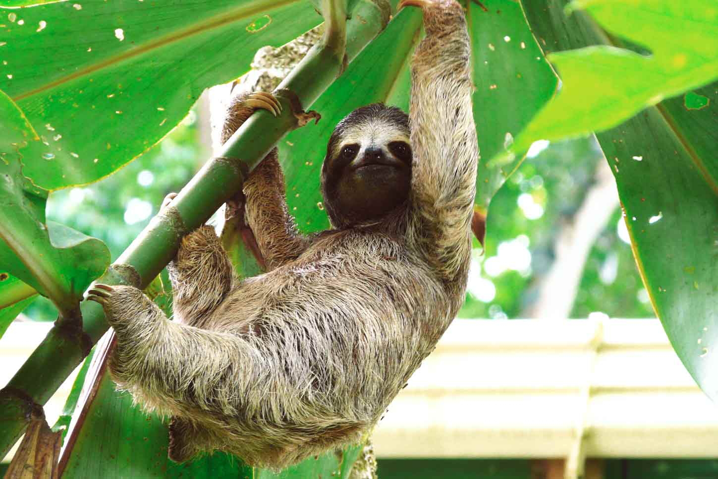 costa rica mejor epoca para viajar