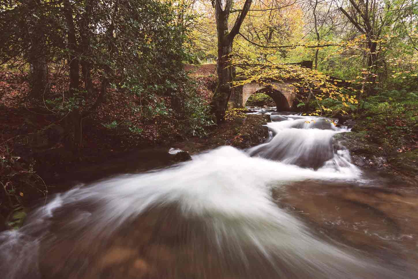 Walking holidays in Northern Spain are great in regions like Cantabria