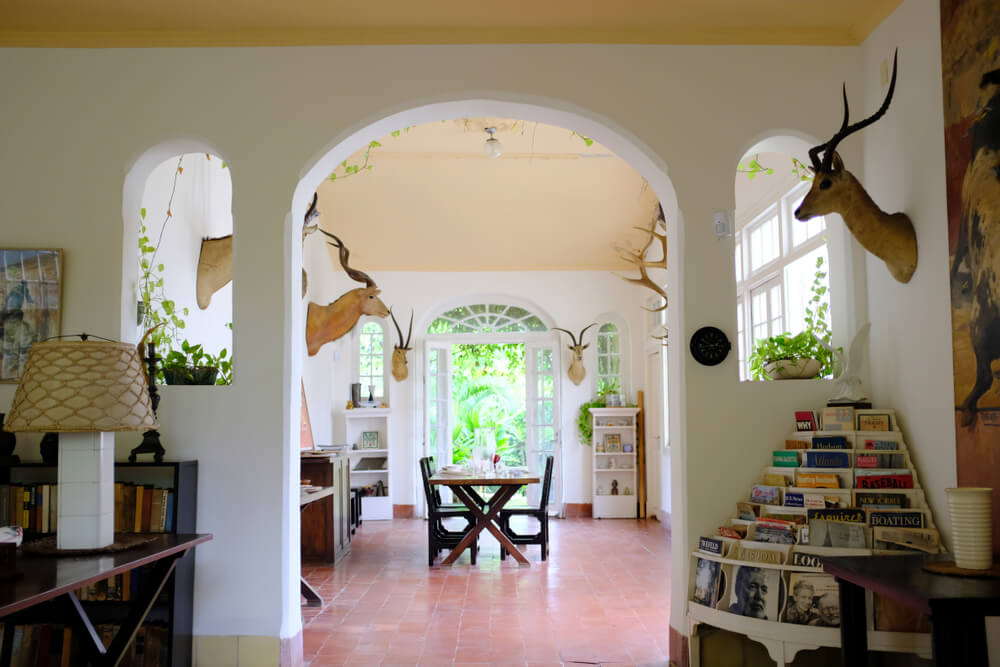 Finca Vigía: whitewashed living room with hunting trophies and magazines with garden views