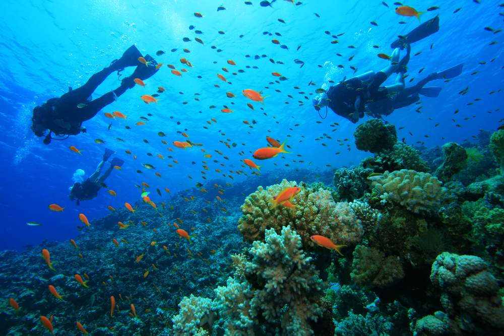 Snorkel in the Costa Rican Pacific ocean when staying at the hotels on the Pacific coast