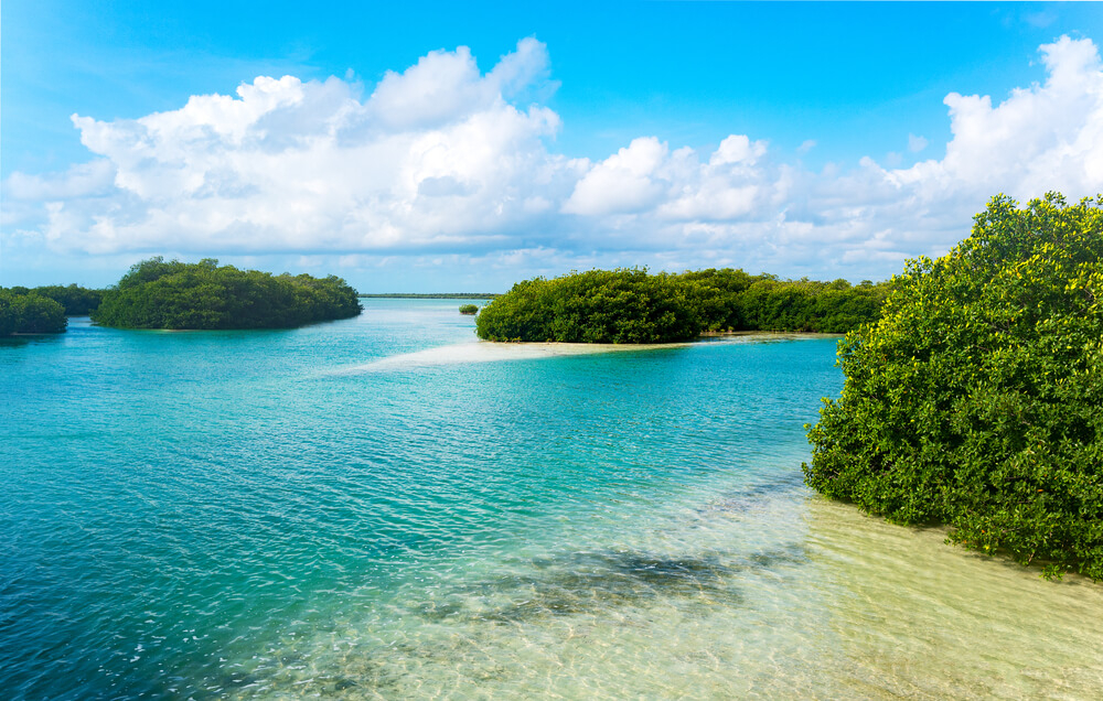 Find out if travel makes you happen when you visit the Sian Ka’an Biosphere Reserve in Mexico