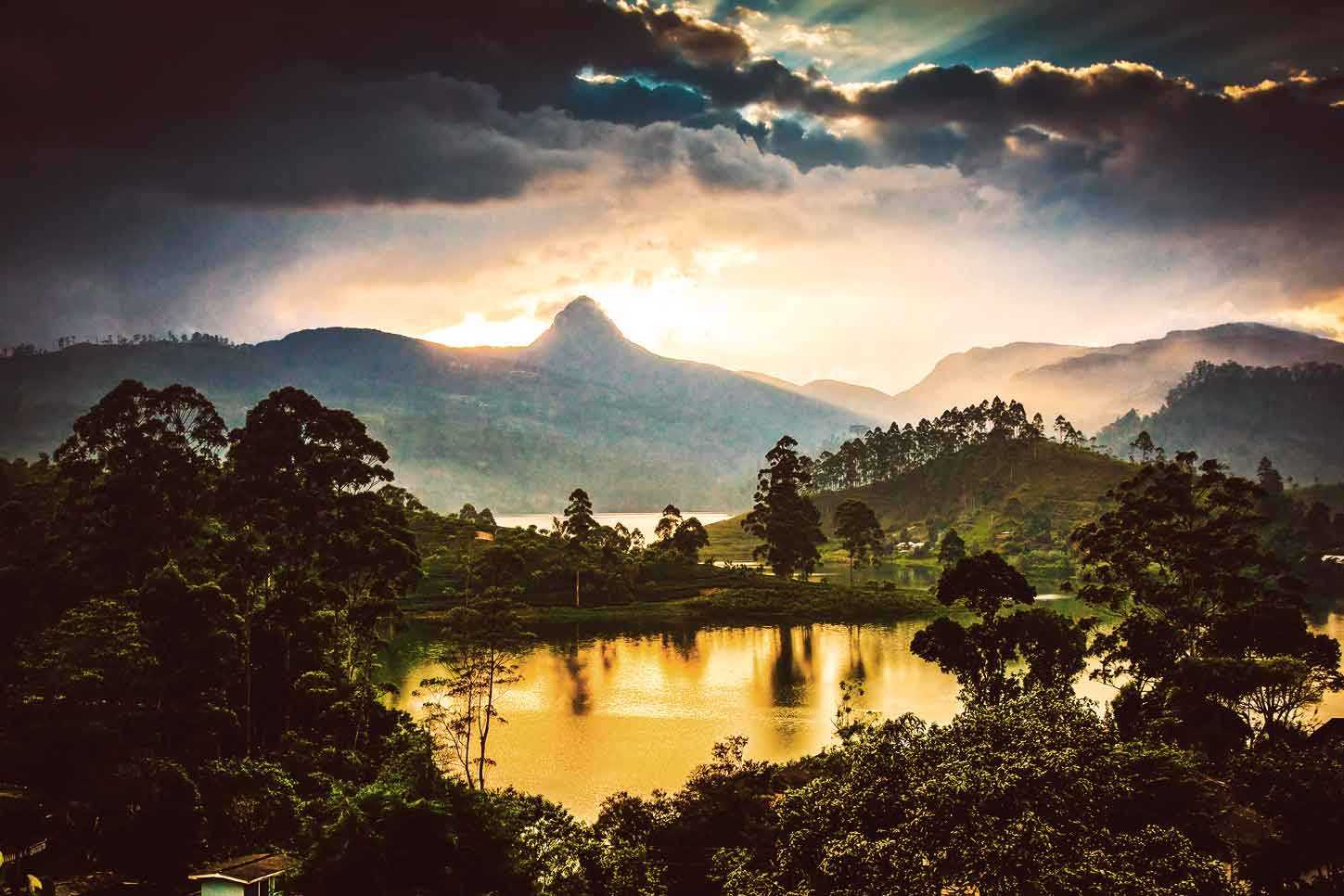 Dschungel-Abenteuer in Sri Lanka: eines der besten Länder für Safaris