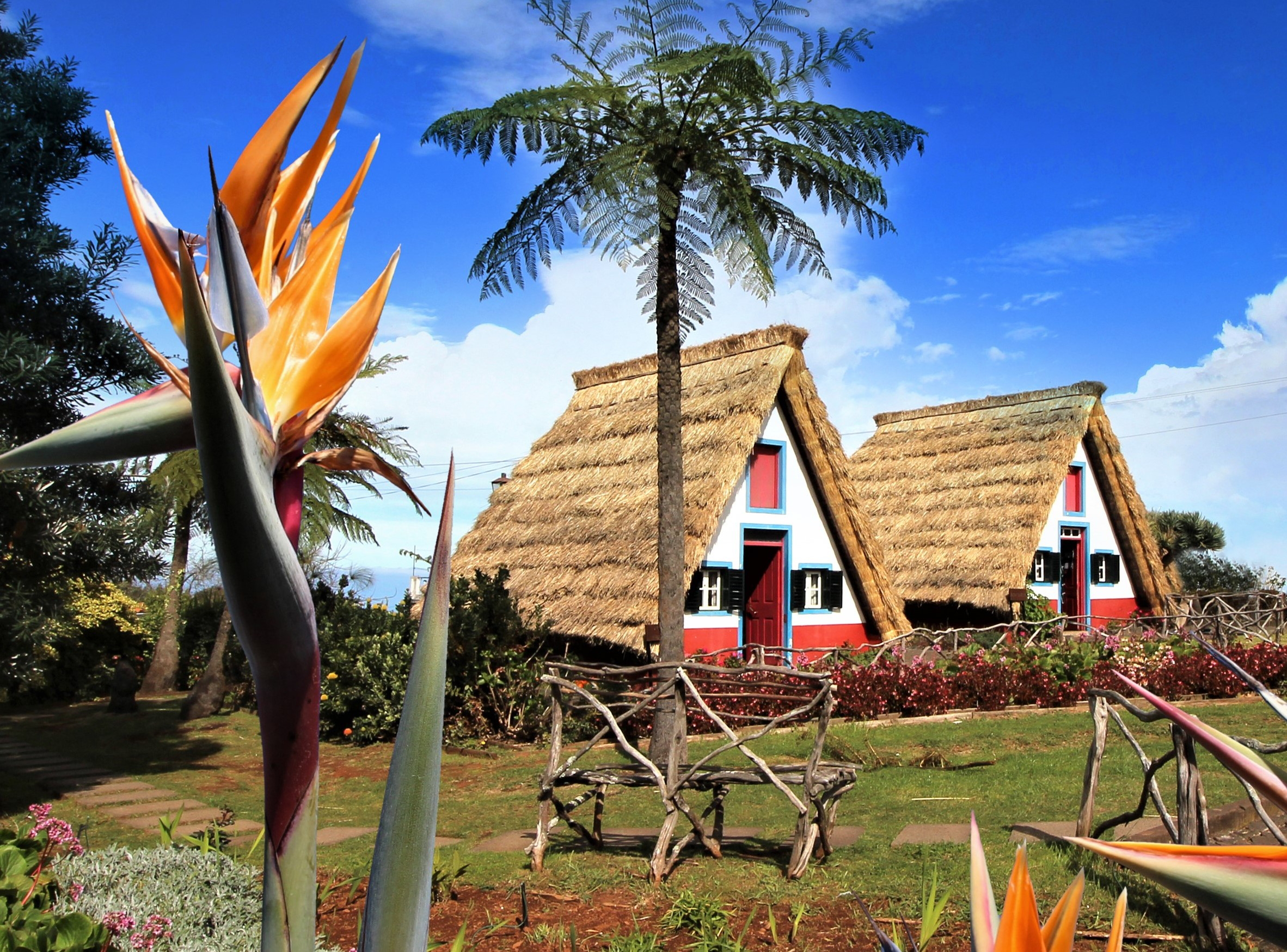 casas típicas de madeira