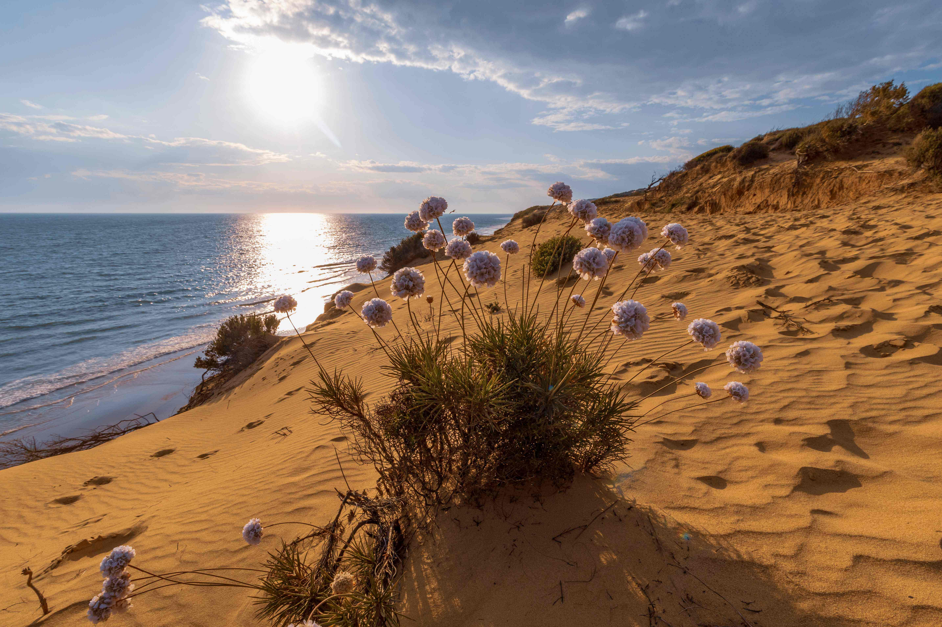 mejores playas de huelva