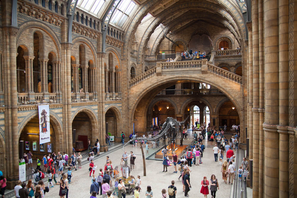 Eines der schönsten Museen in Madrid für Kinder: das MNCN.