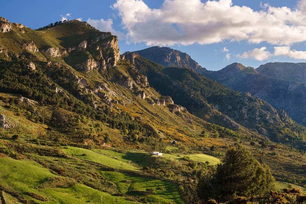 Bergige Landschaft in der Sierra de las Nieves.