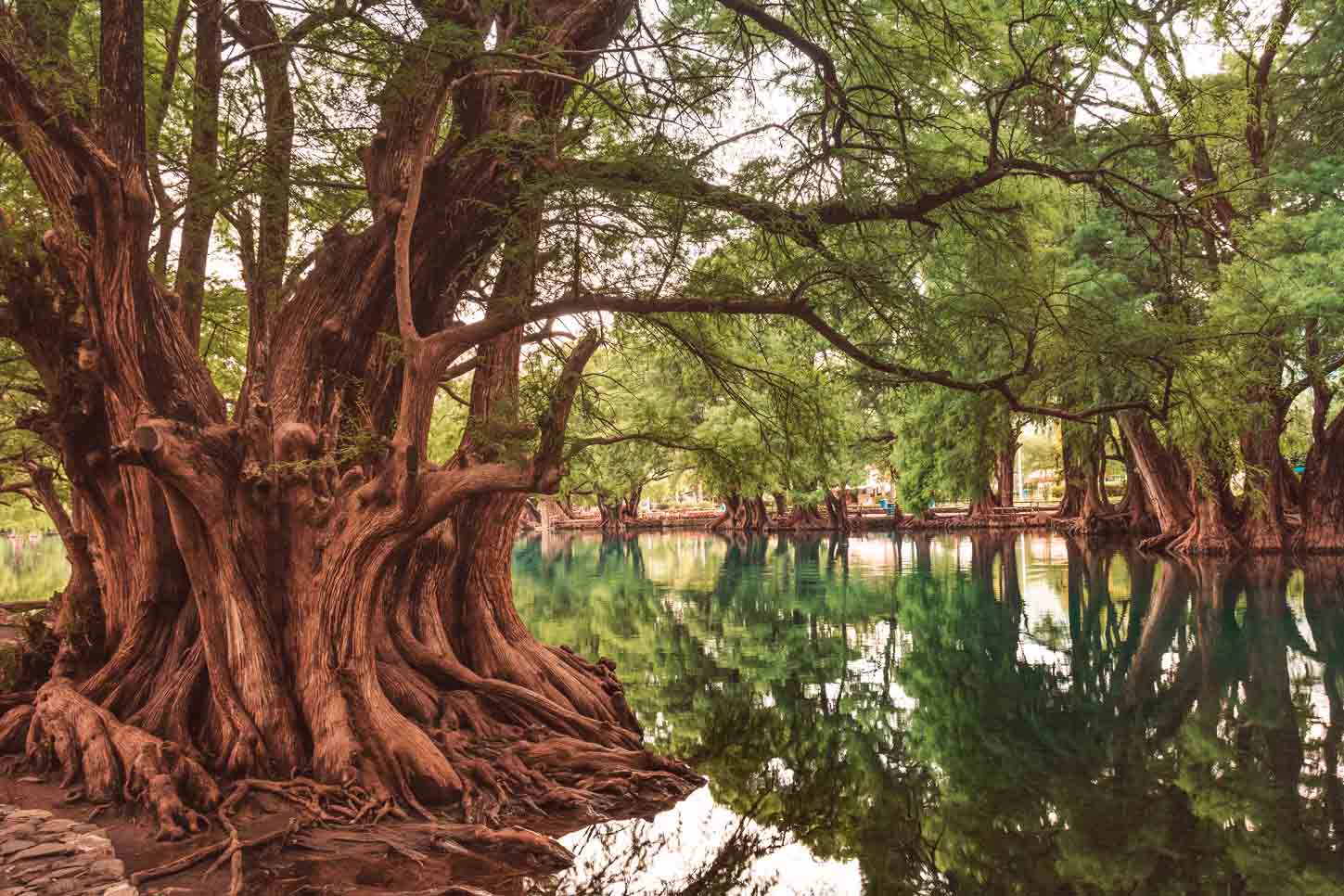 Nationalpark Lago de Camécuaro