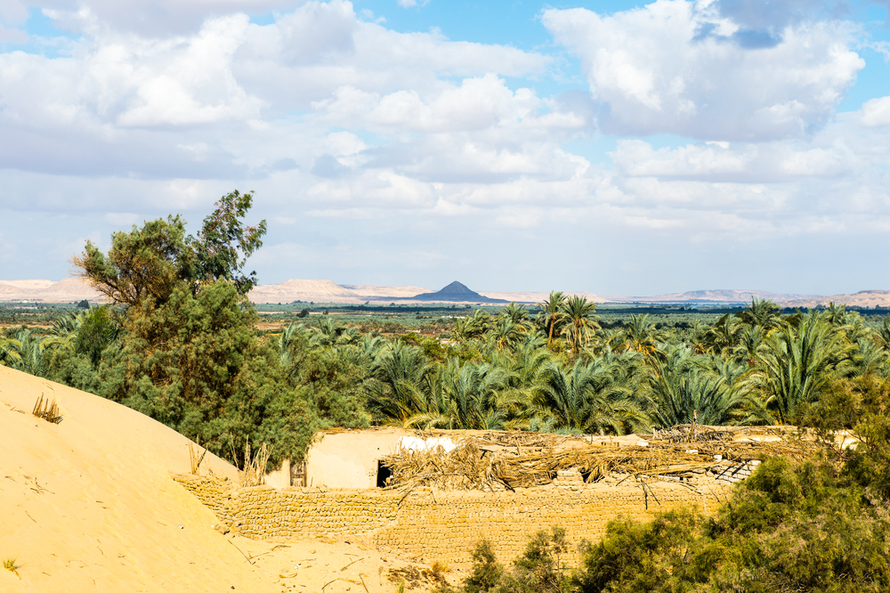 desiertos y oasis de egipto