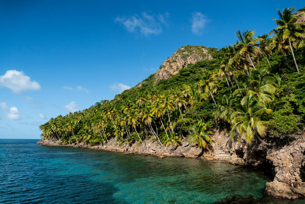 Isla Providencia: einer der besten Tauchplätze der Welt