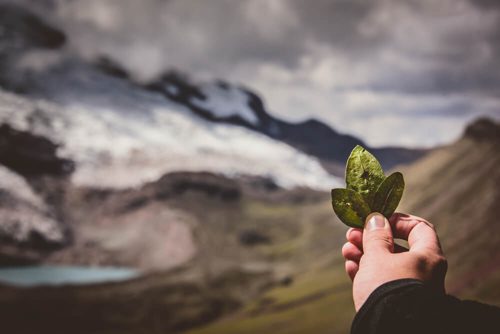 Pachamama que significa 