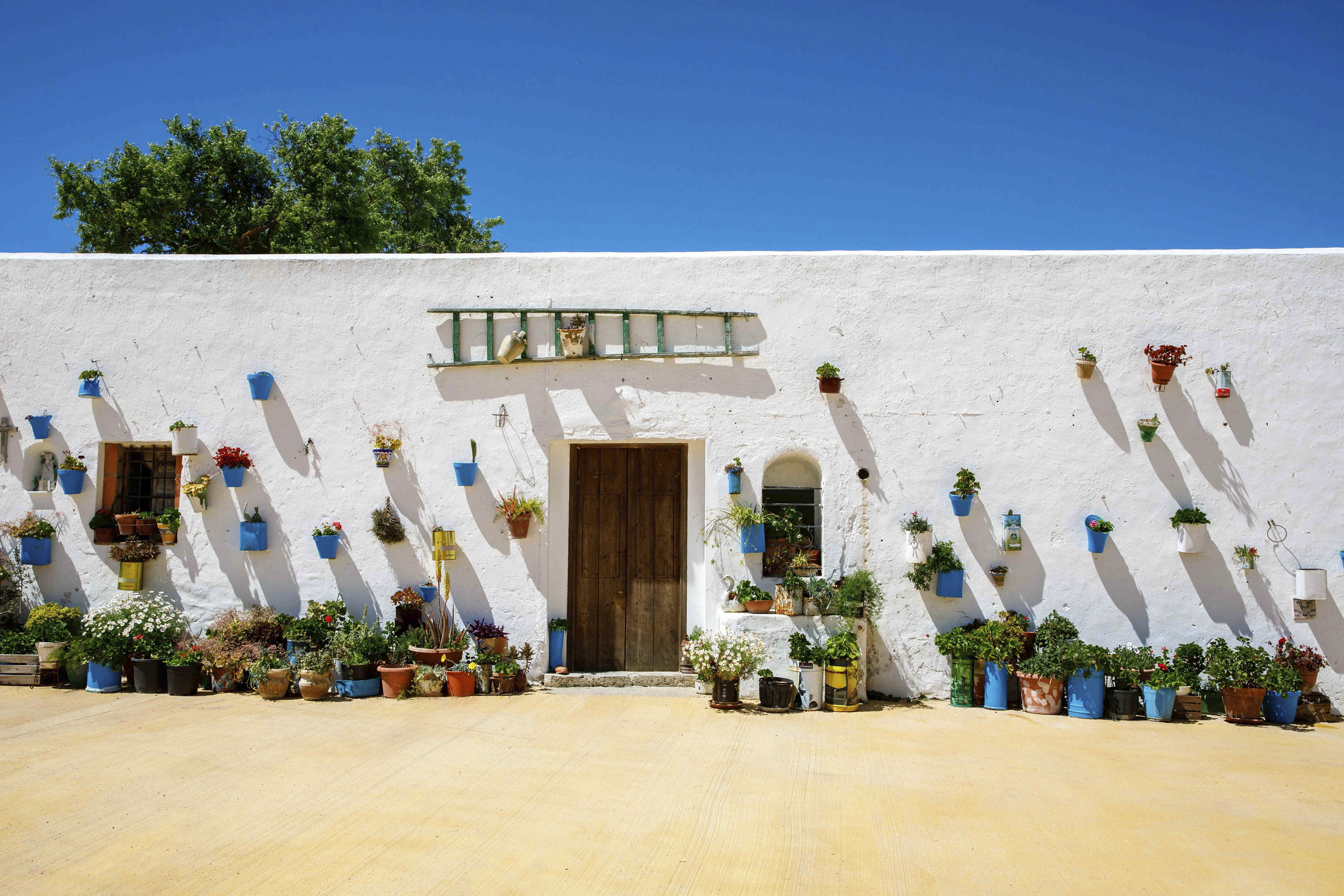 Province of Cadiz: A white-washed wall of a bungalow with blue flowerpots on its facade