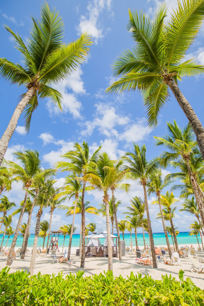 Nice beach with beach chairs, thatched umbrellas and palm trees. luxury beach against the background of the beauty of the sea with coral reefs. summer holiday. Playa del Carmen, Riviera Maya. Yucatan