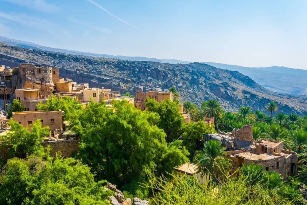 Oasendorf im Oman mit vielen Palmen.