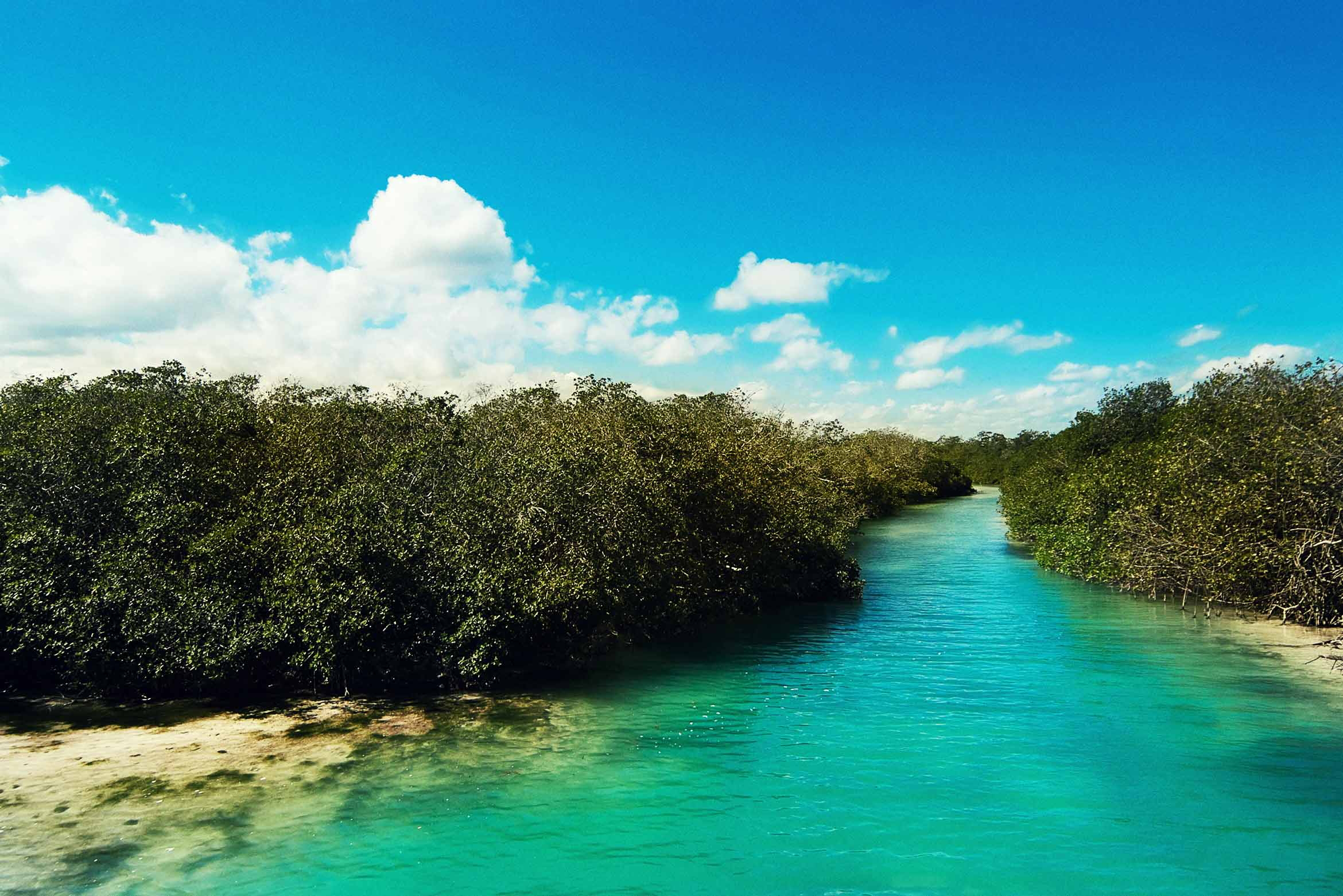 Viajes a Riviera Maya Todo Incluido 2021