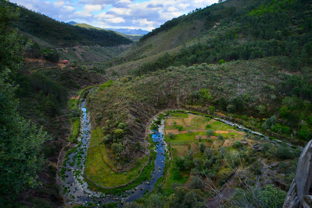 setas en extremadura sierra de gata