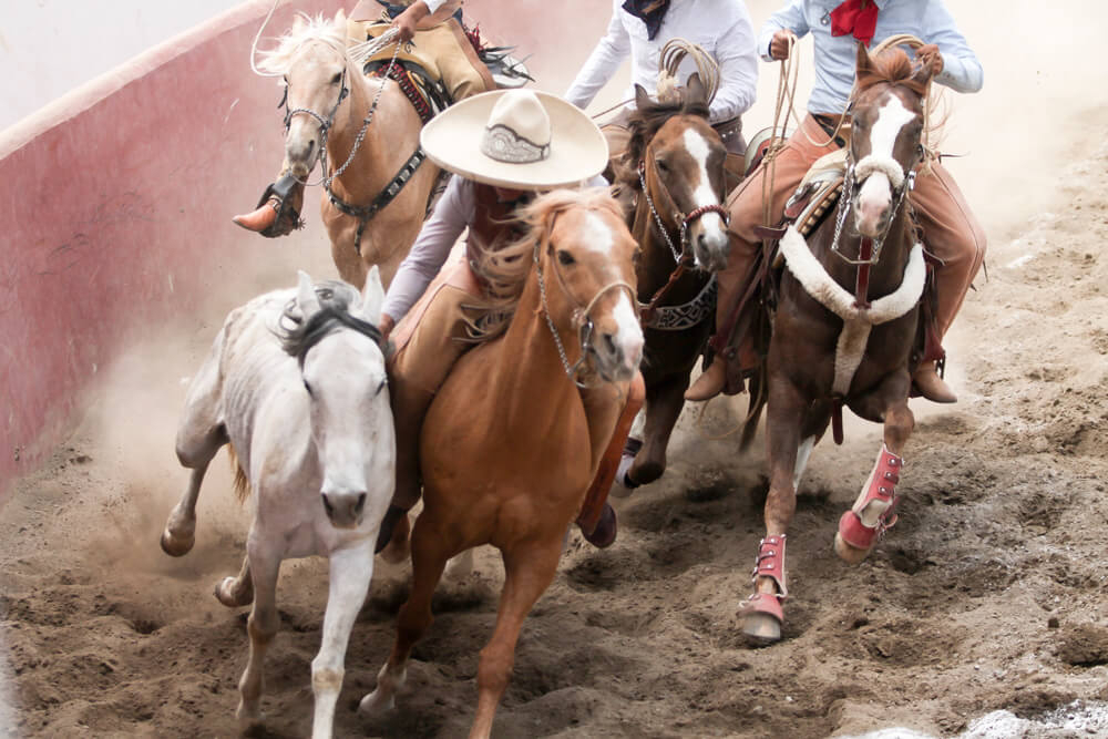 Dia del charro