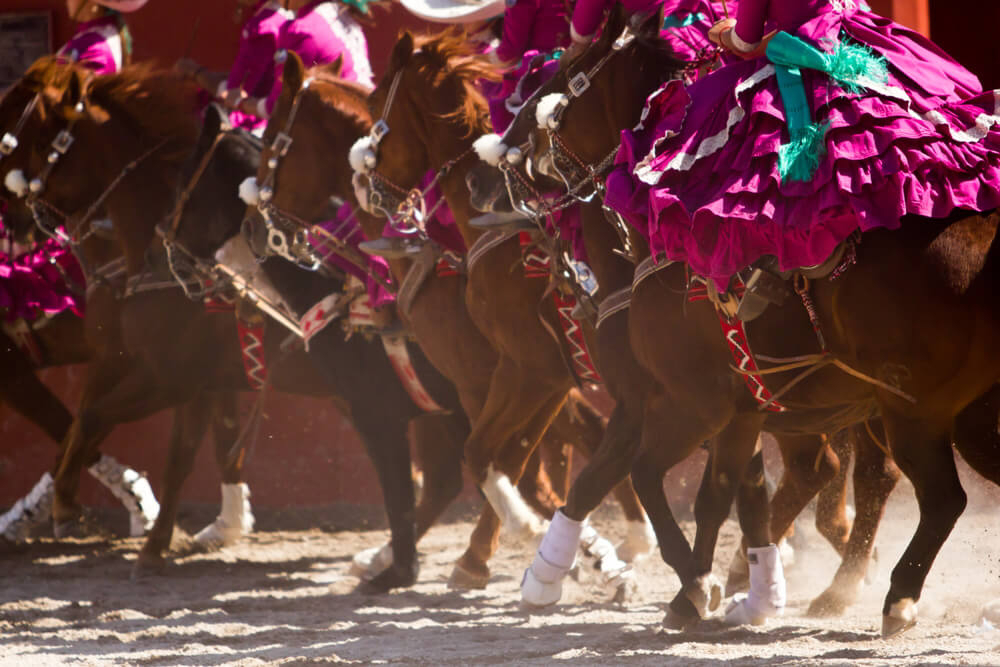 Dia del charro